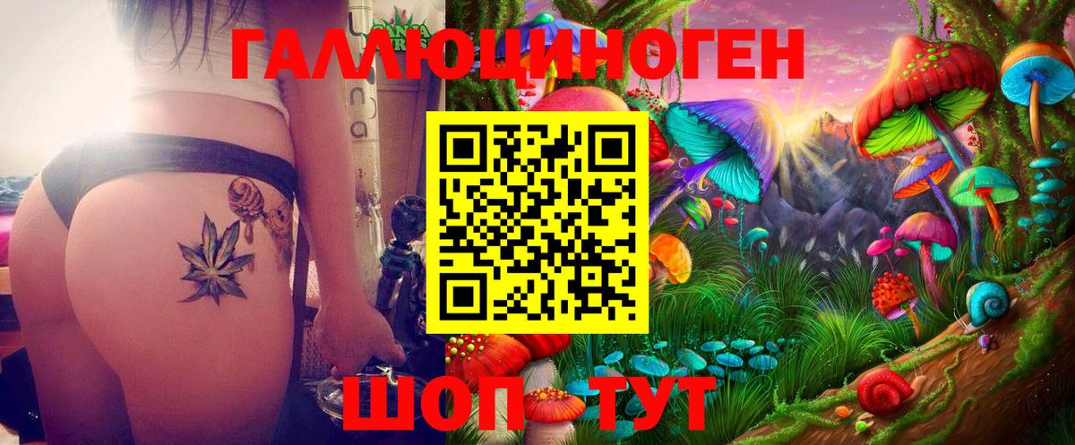Владимир  Псилоцибиновые грибы Magic Shrooms  Вход с VPN  Псилоцибиновые грибы MAGIC MUSHROOMS 